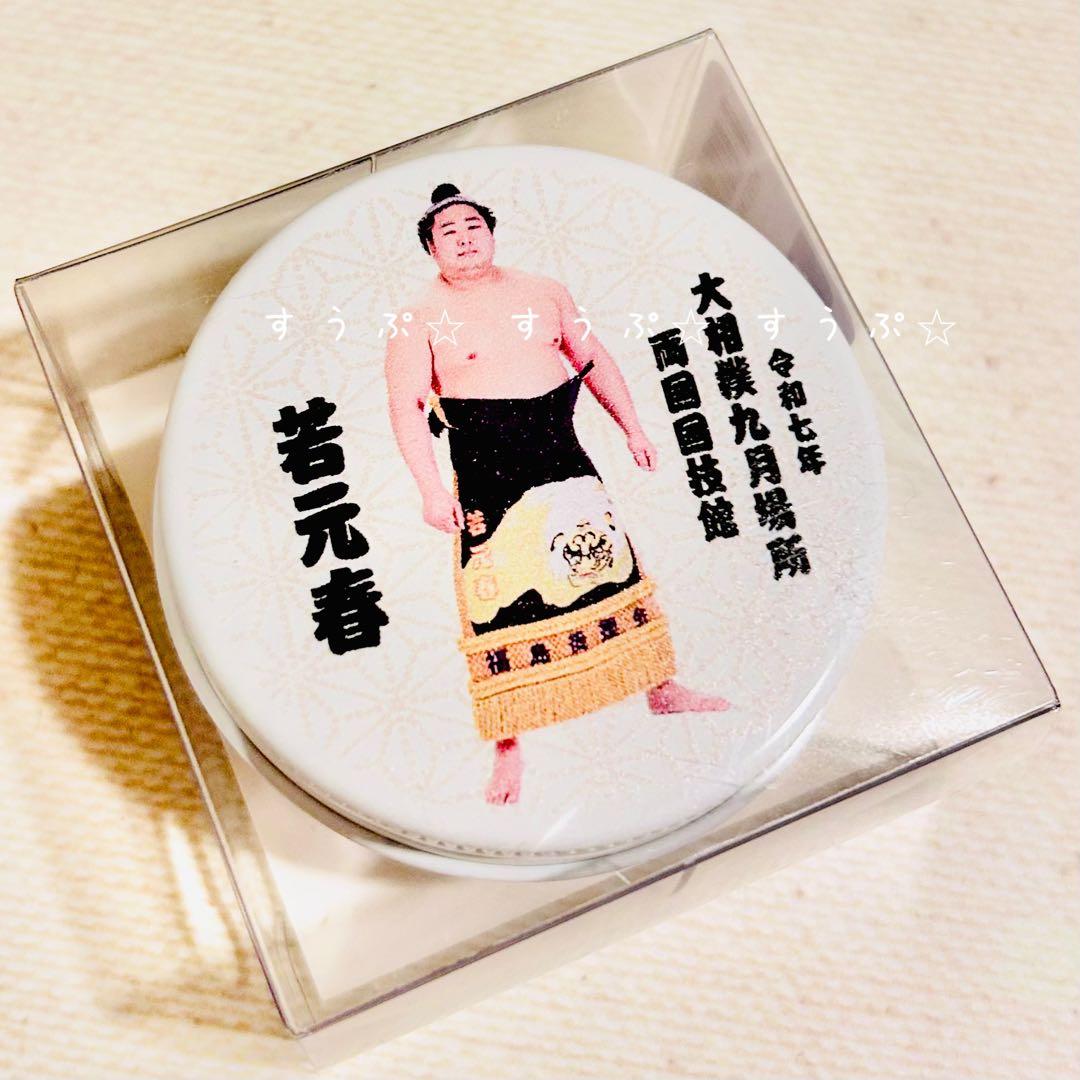 ♡チェブラーシカ♡様② 専用です✩.*˚(10月1日まで)