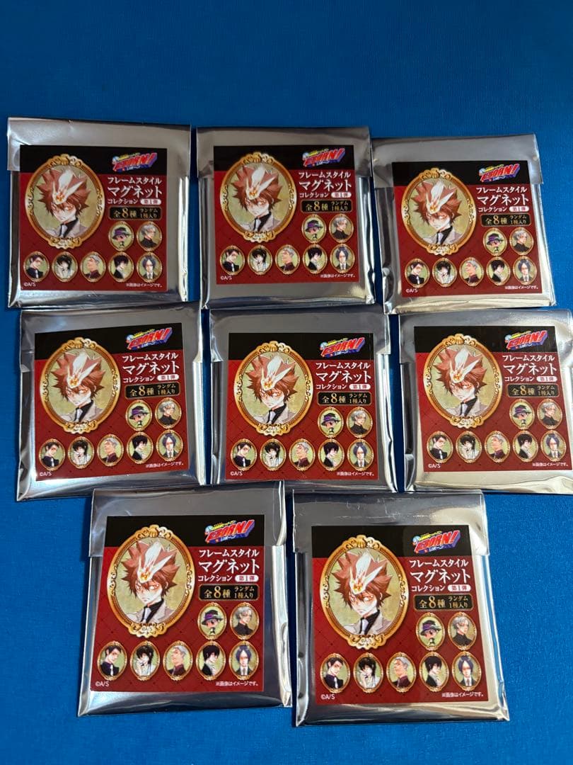 家庭教師ヒットマンreborn フレームスタイルマグネットコレクション　沢田綱吉