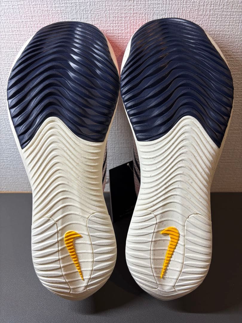 Nike ZoomX Streakfly 26.0cm （DJ6566-102）