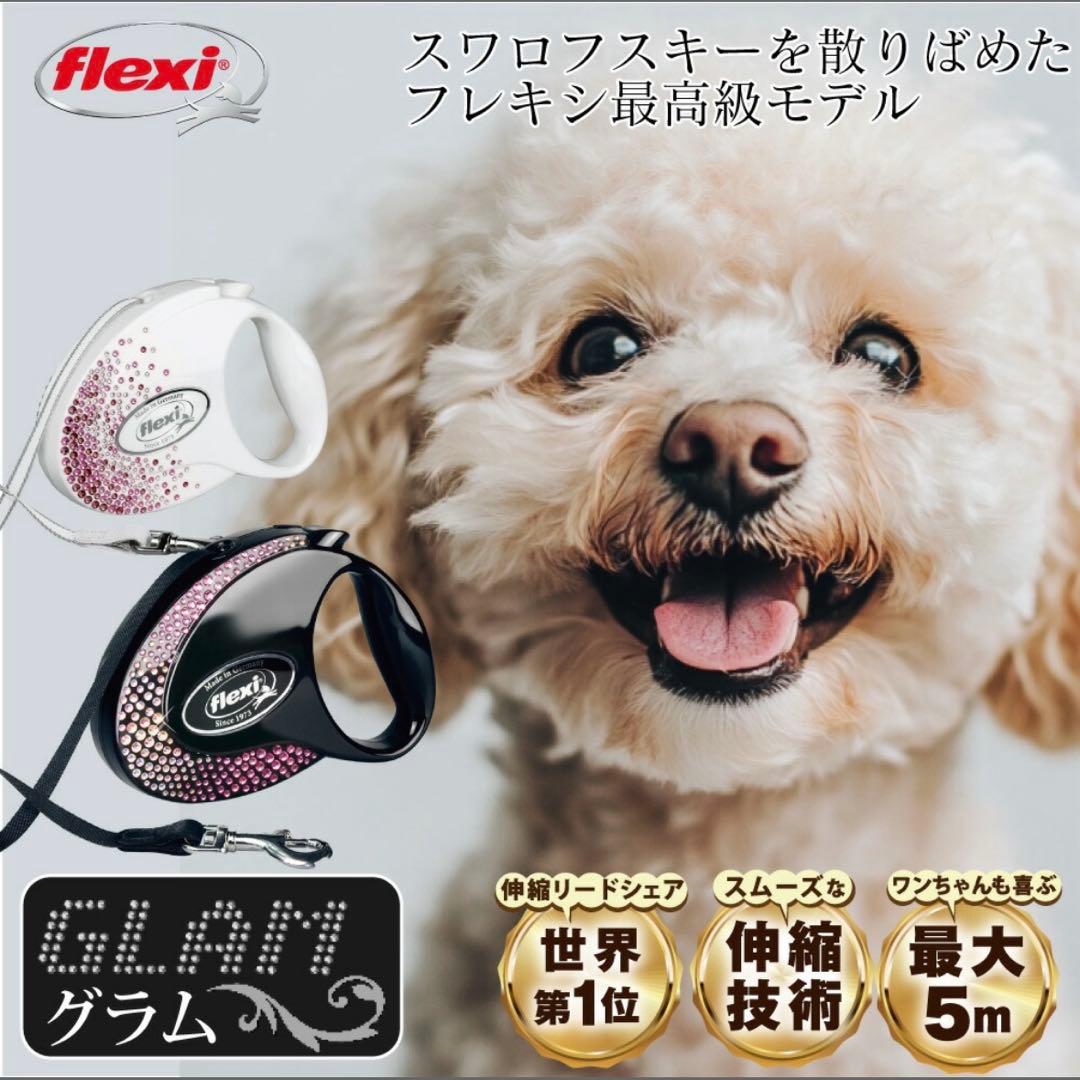 フレキシ flexリード　Mサイズテープタイプスワロフスキー