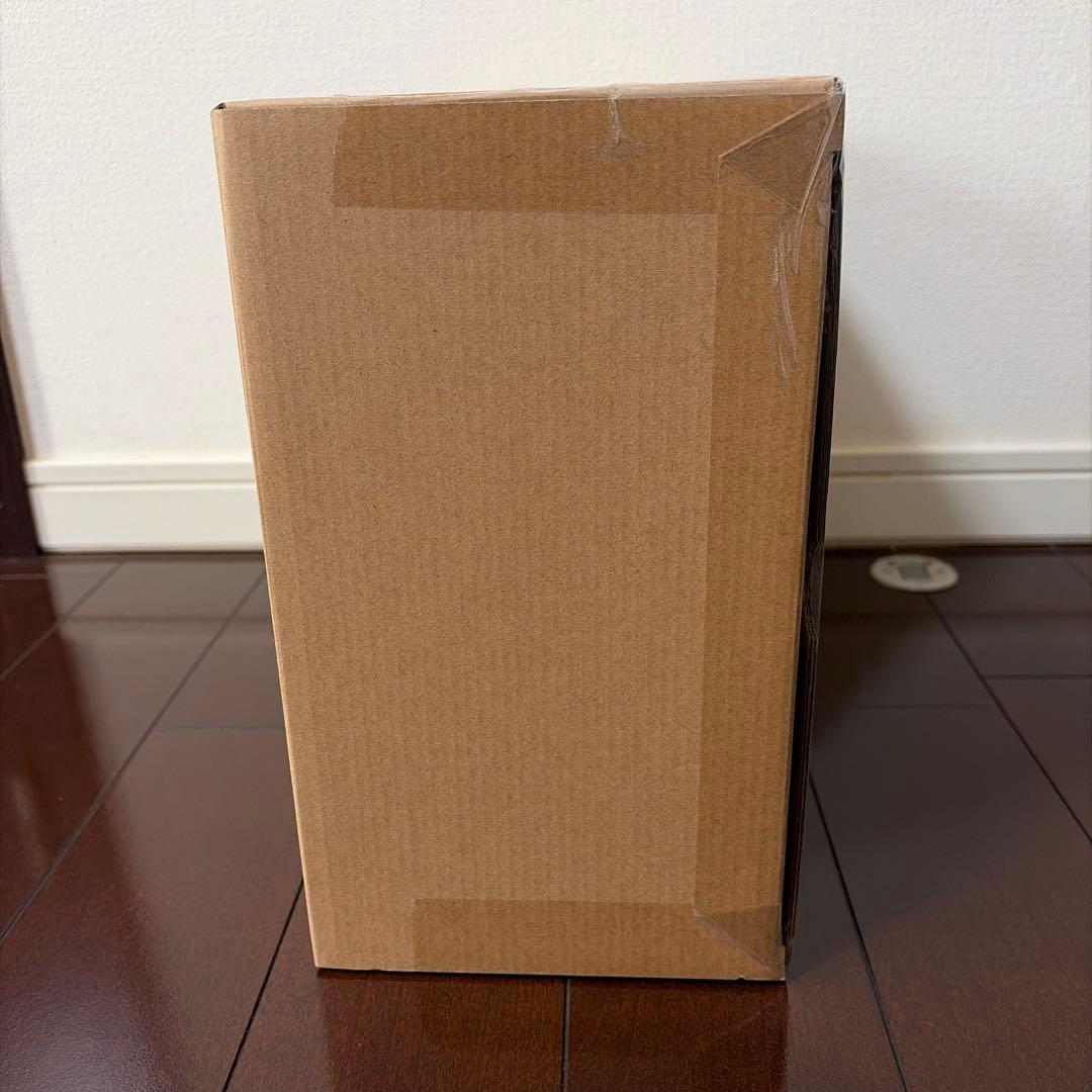 【新品未開封】デスティニーL BUILD FESTIVAL2024