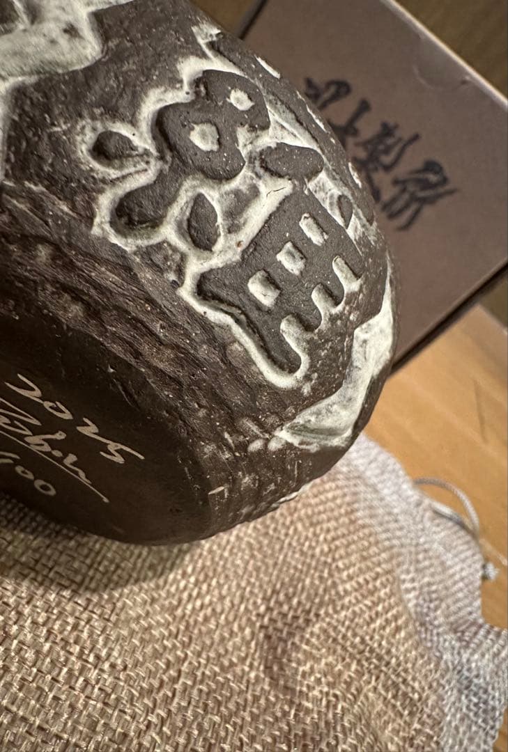 週末限定 羅本製所 Copiapoa Daruma Monster ロビン