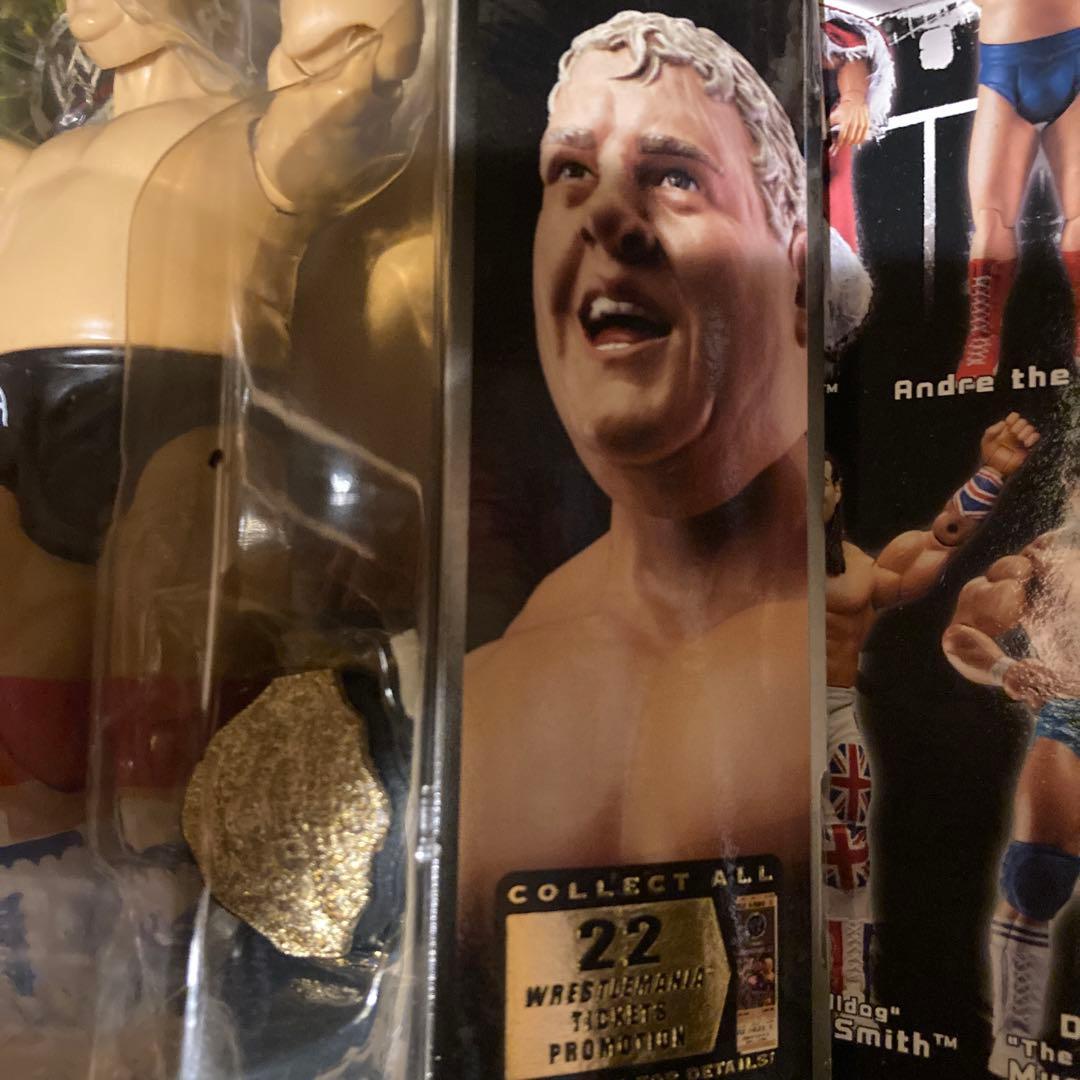 WWEクラシック10 ダスティローデス