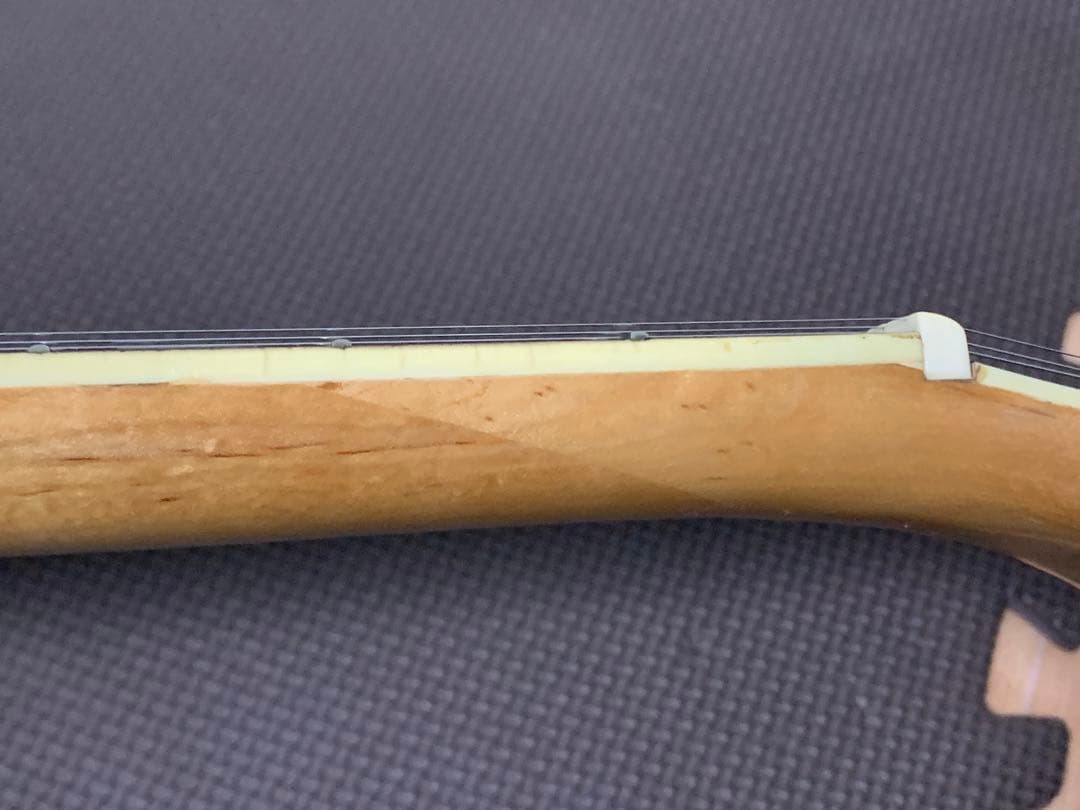 JAGARD by EKSモッキンバード MG タイプ ジャンク