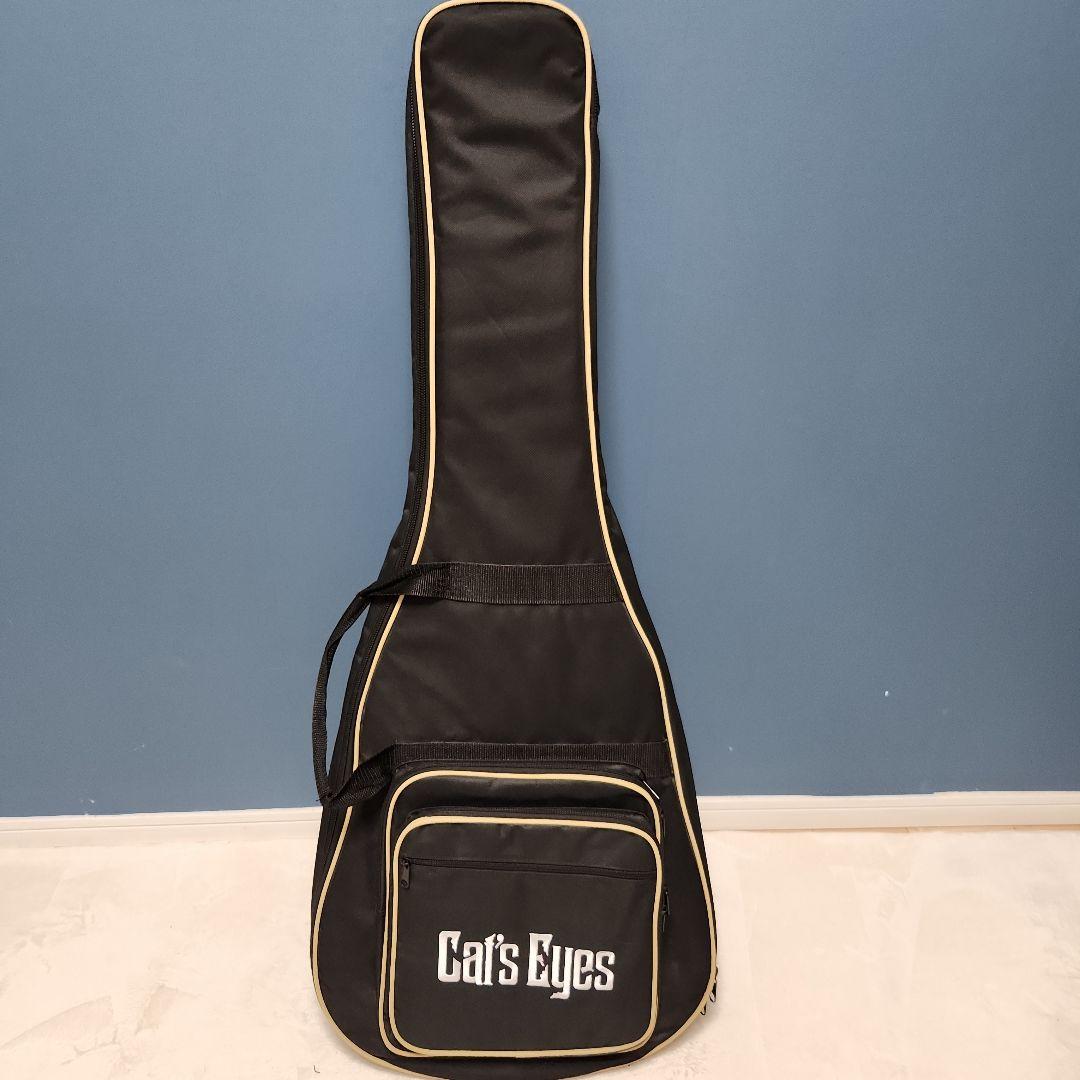 【未使用品】 キャッツアイ アコースティック・ギター カバー付き CE55T-K