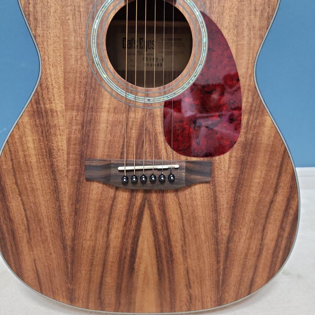 【未使用品】 キャッツアイ アコースティック・ギター カバー付き CE55T-K