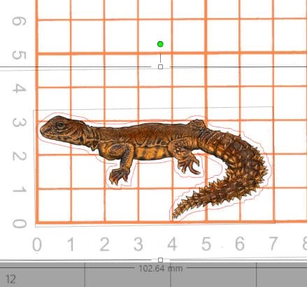 [即購入×！プロフ必読！お急ぎ対応可○]爬虫類ステッカー