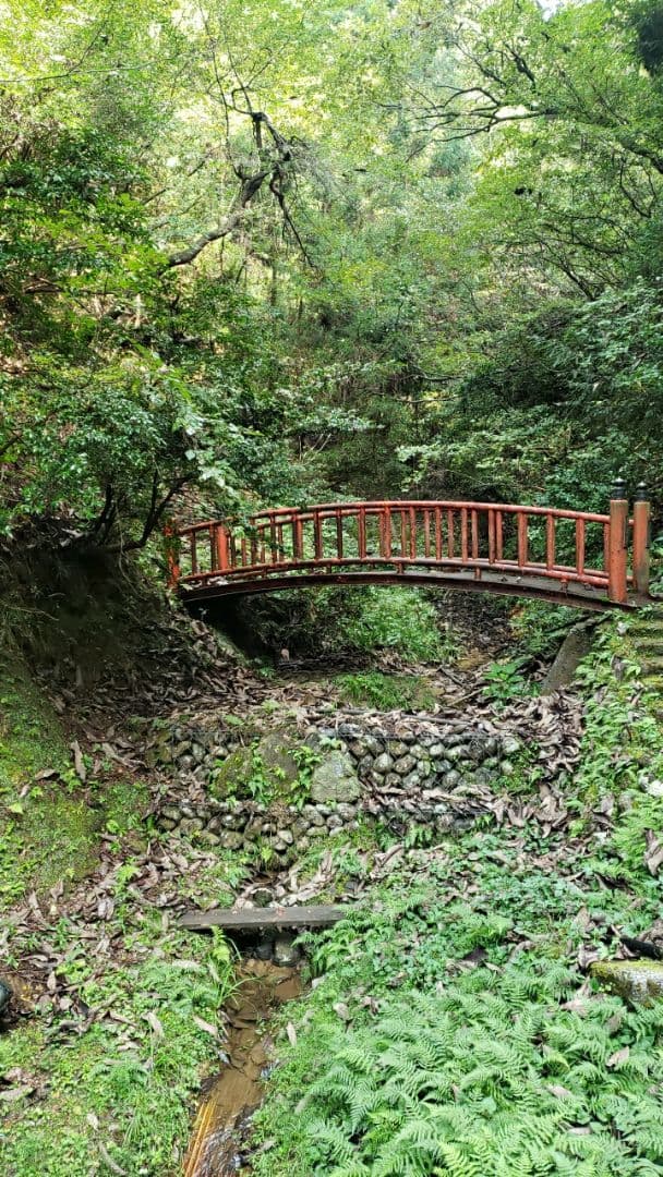 専用です 確認中です。