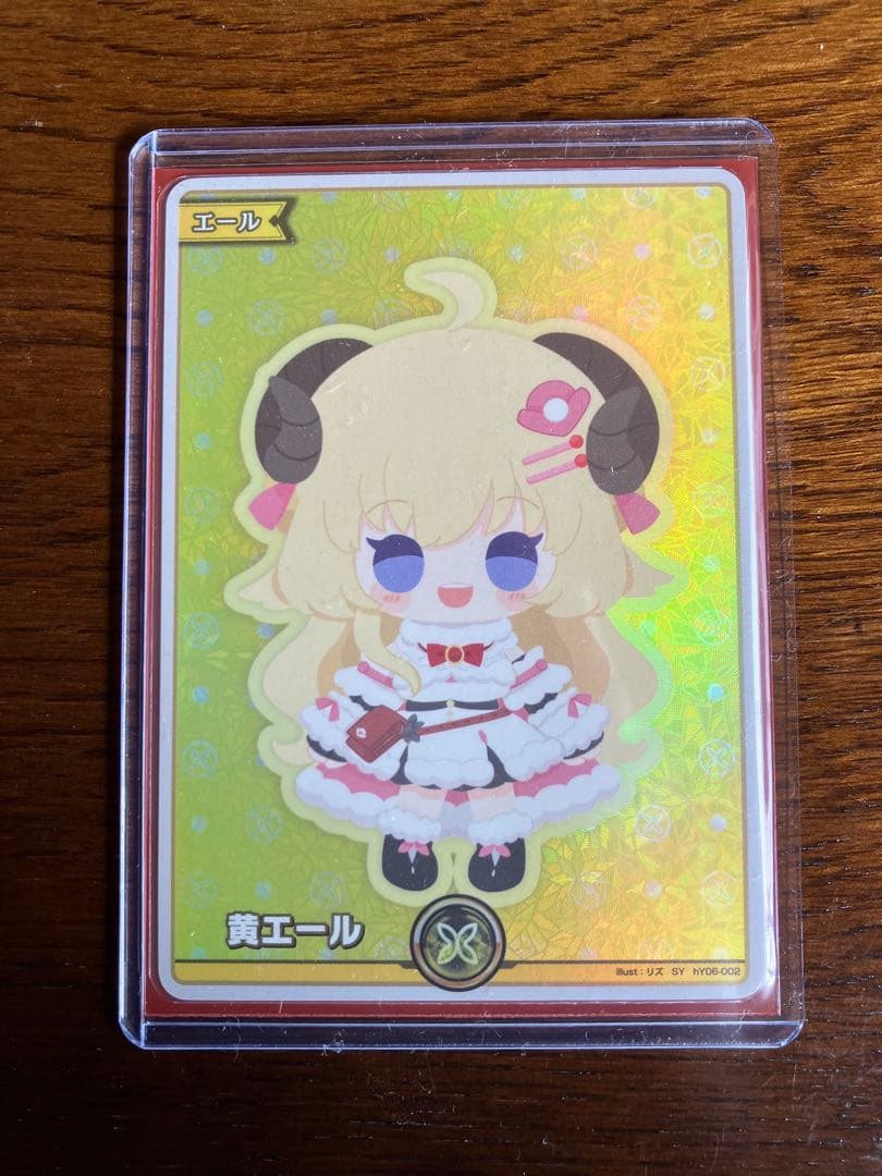 ホロカ　エールセット