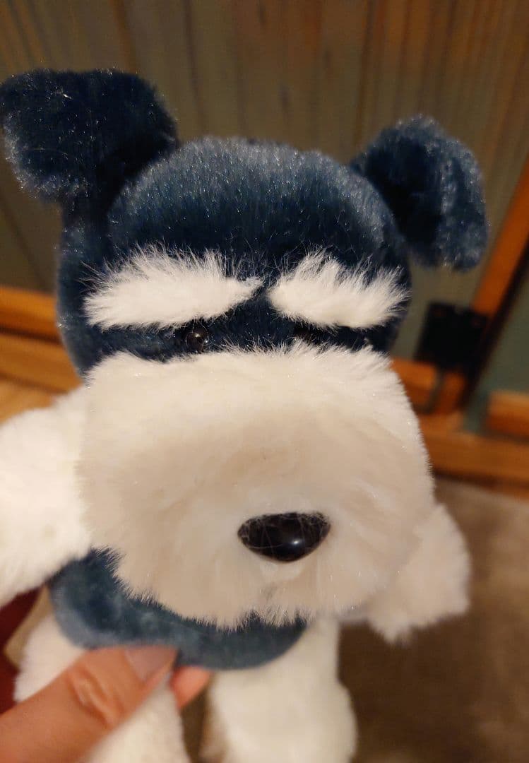 くったりシュナウザー ドーリー ＆ ウエルカム   セット