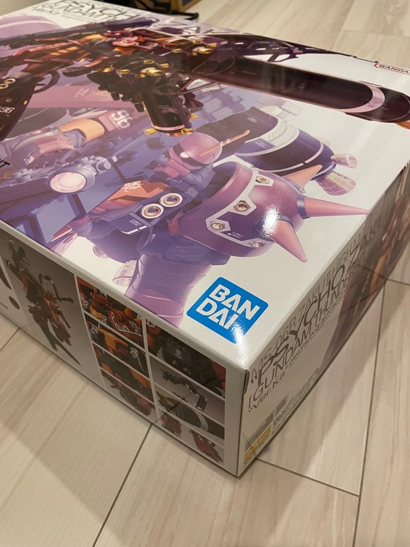 【新品】MG 1/100 高機動型ザク“サイコ・ザク” Ver.Ka