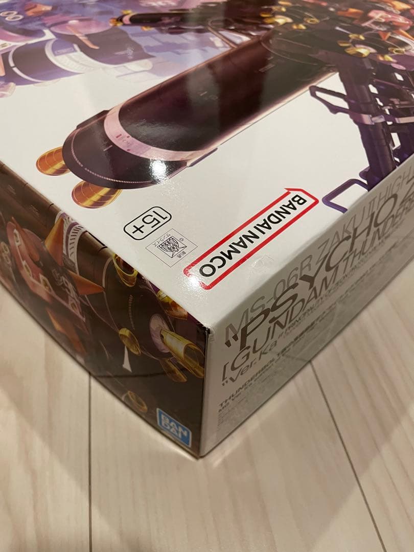 【新品】MG 1/100 高機動型ザク“サイコ・ザク” Ver.Ka