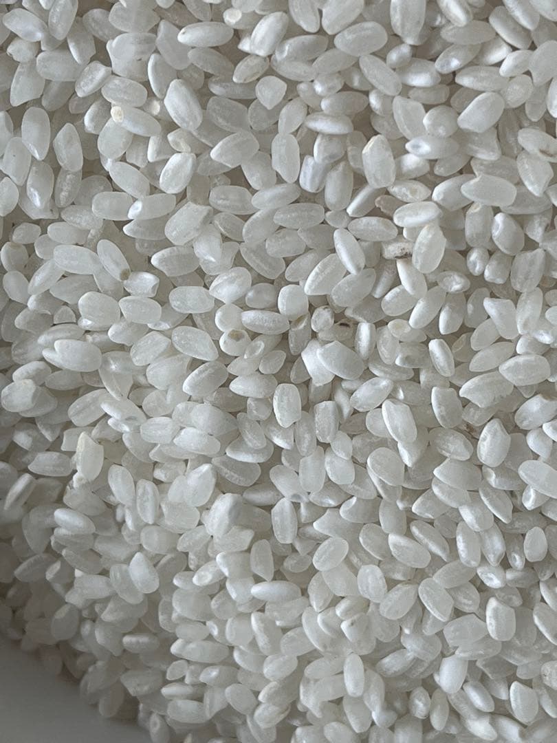 令和7年愛知県産【精米20kg】送料込み 米 精米 白米梱包含め20㎏