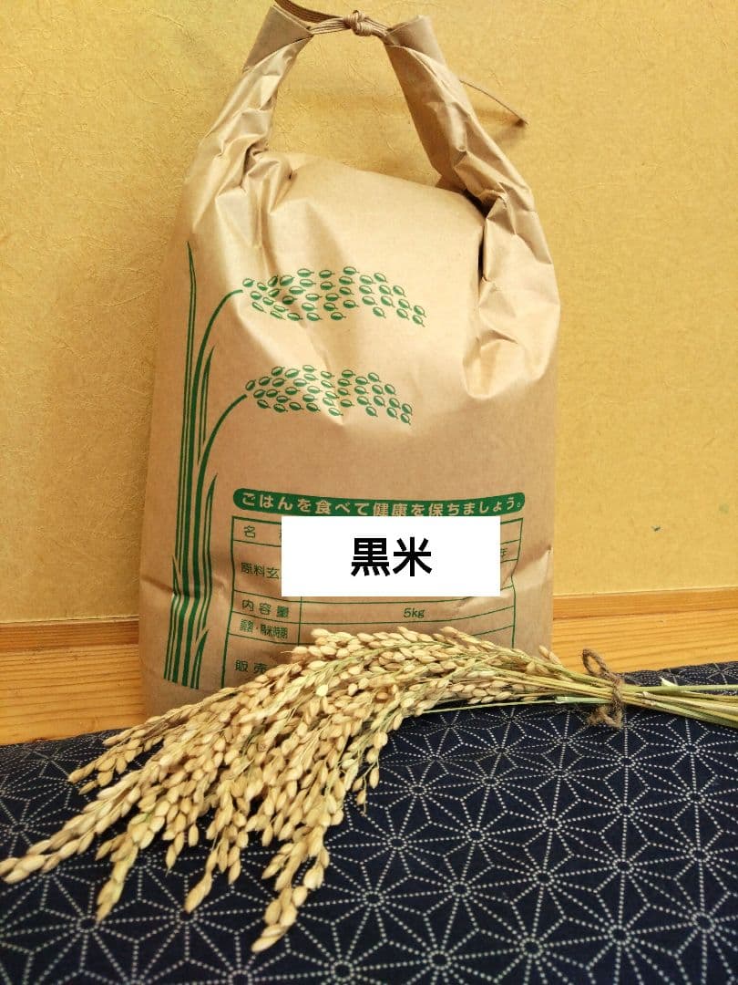 R7年新米 自然栽培米 黒米ミックス5kg玄米