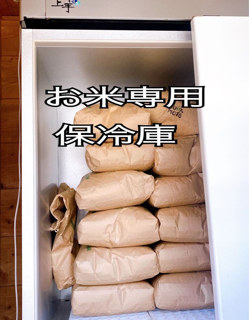 お米　熊本県産　くまさんの輝き　令和7年産　玄米　30キロ　送料込　新米