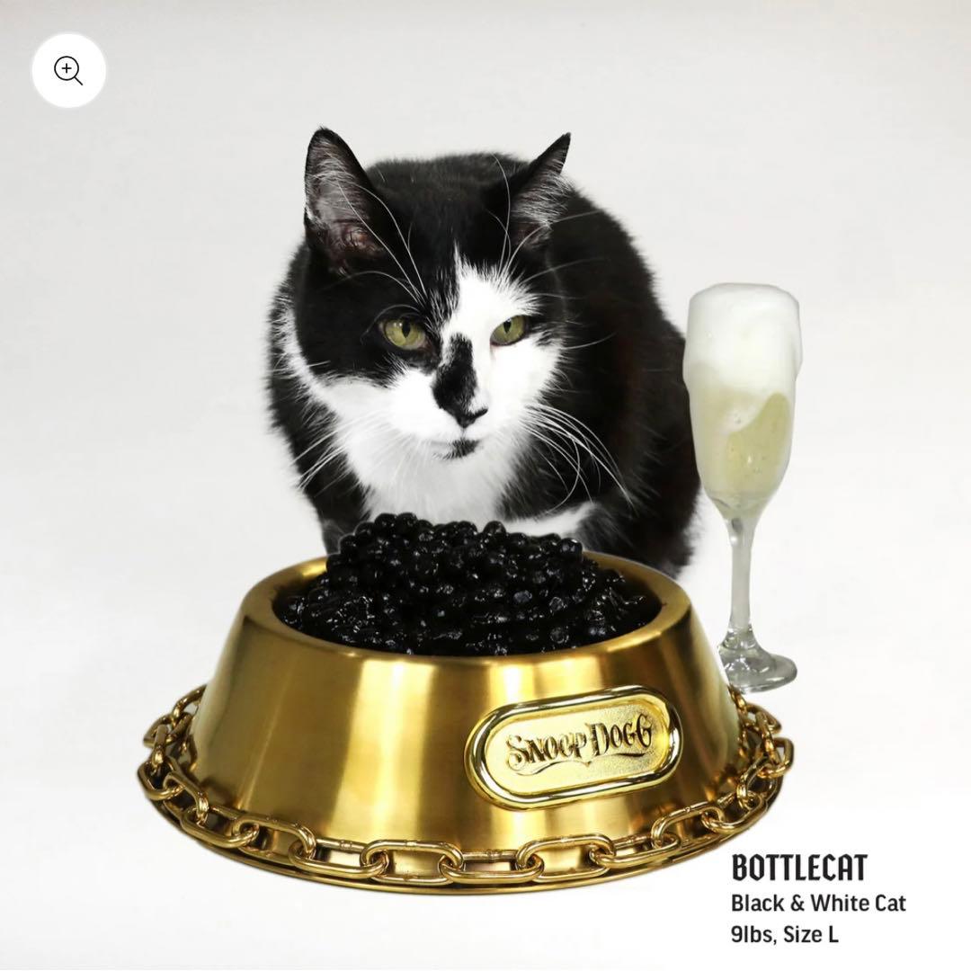 スヌープドッグ　コラボ　Sサイズ　ドッグボール　キャットボール　カッコイイ