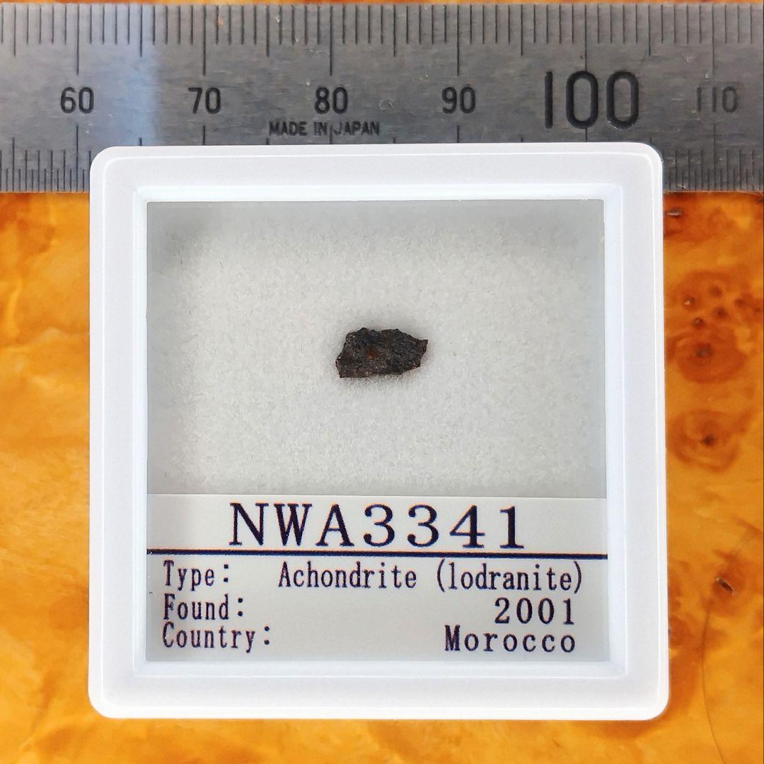 ✨️マクロレア！ロードラナイト✨NWA3341原始的無球粒隕石