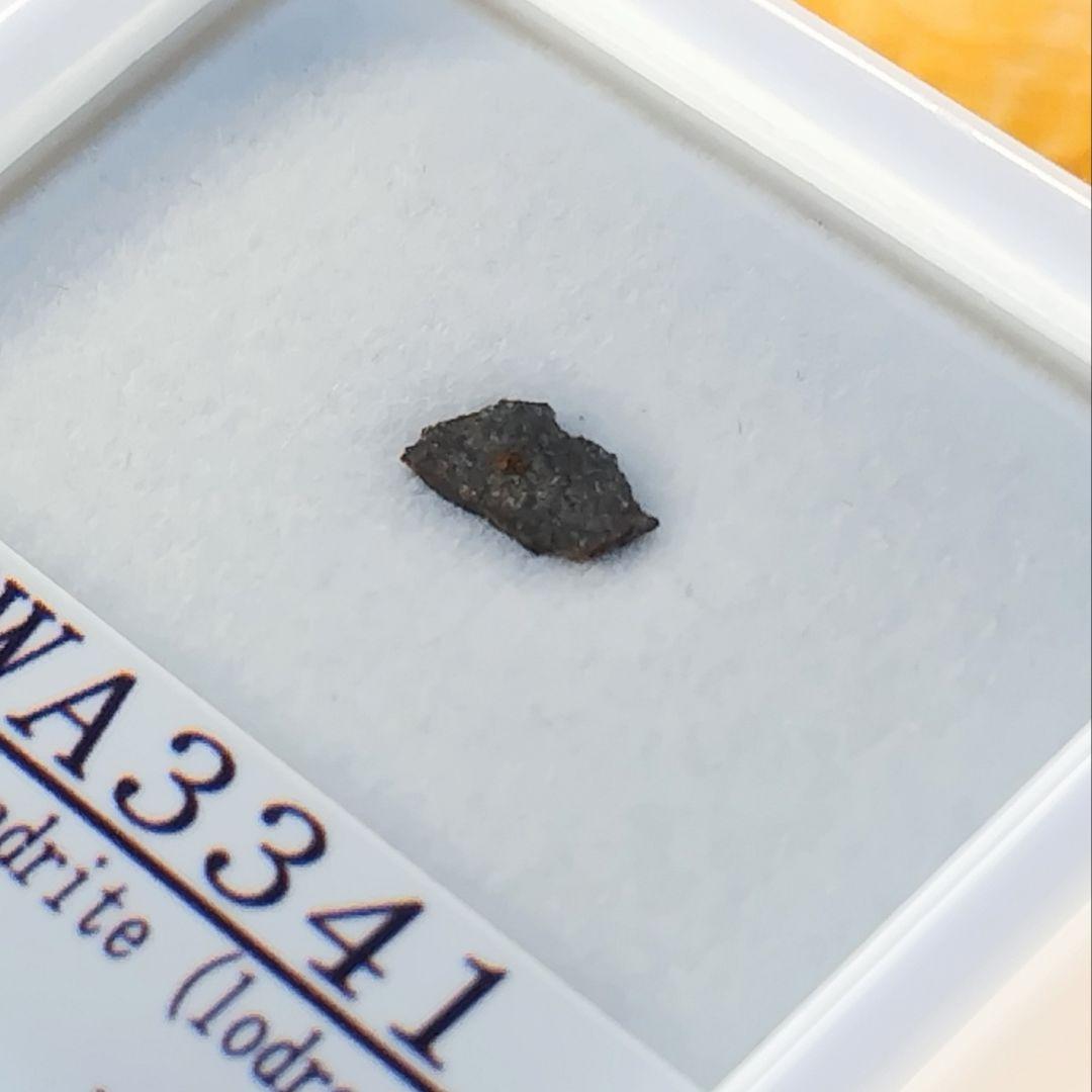 ✨️マクロレア！ロードラナイト✨NWA3341原始的無球粒隕石