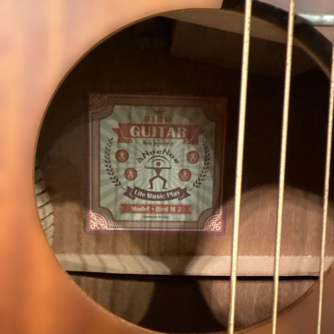 【2月末まで】 anuenue bird guitar ann－m2