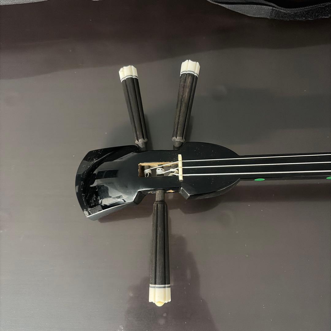 三線 本体 ヘビ皮 ケース付き