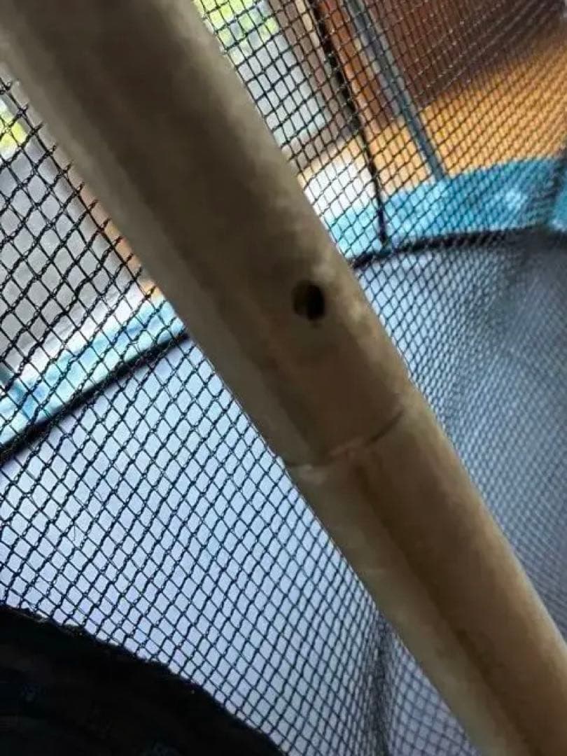 トランポリン　室内