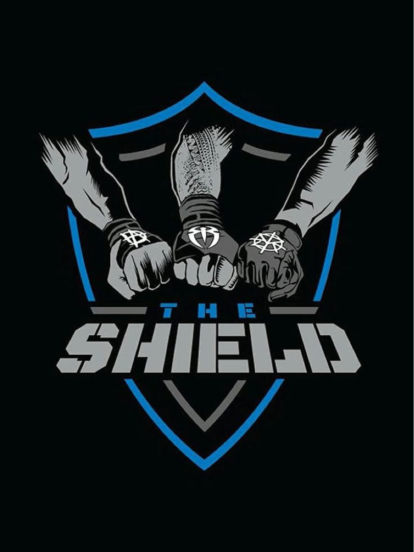 ザ・シールド　HBK AJスタイルズ wwe フィギュア バリケードセット