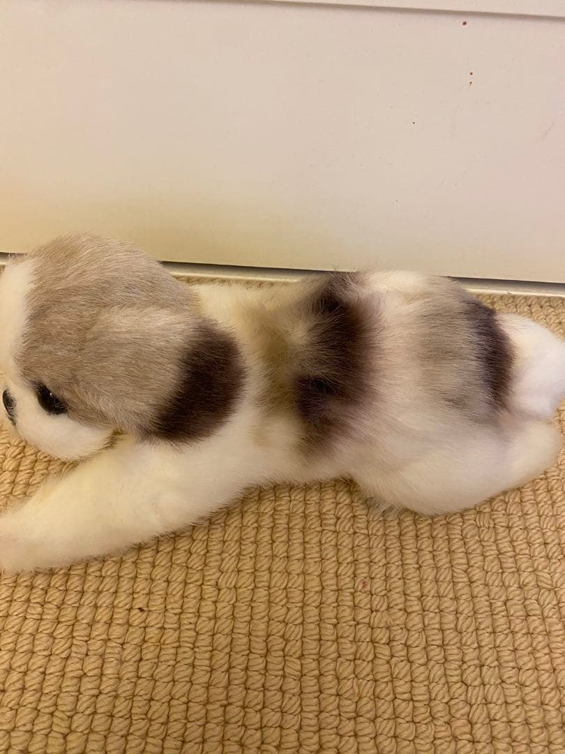 四季オリジナル　シーズー　ぬいぐるみ　新品