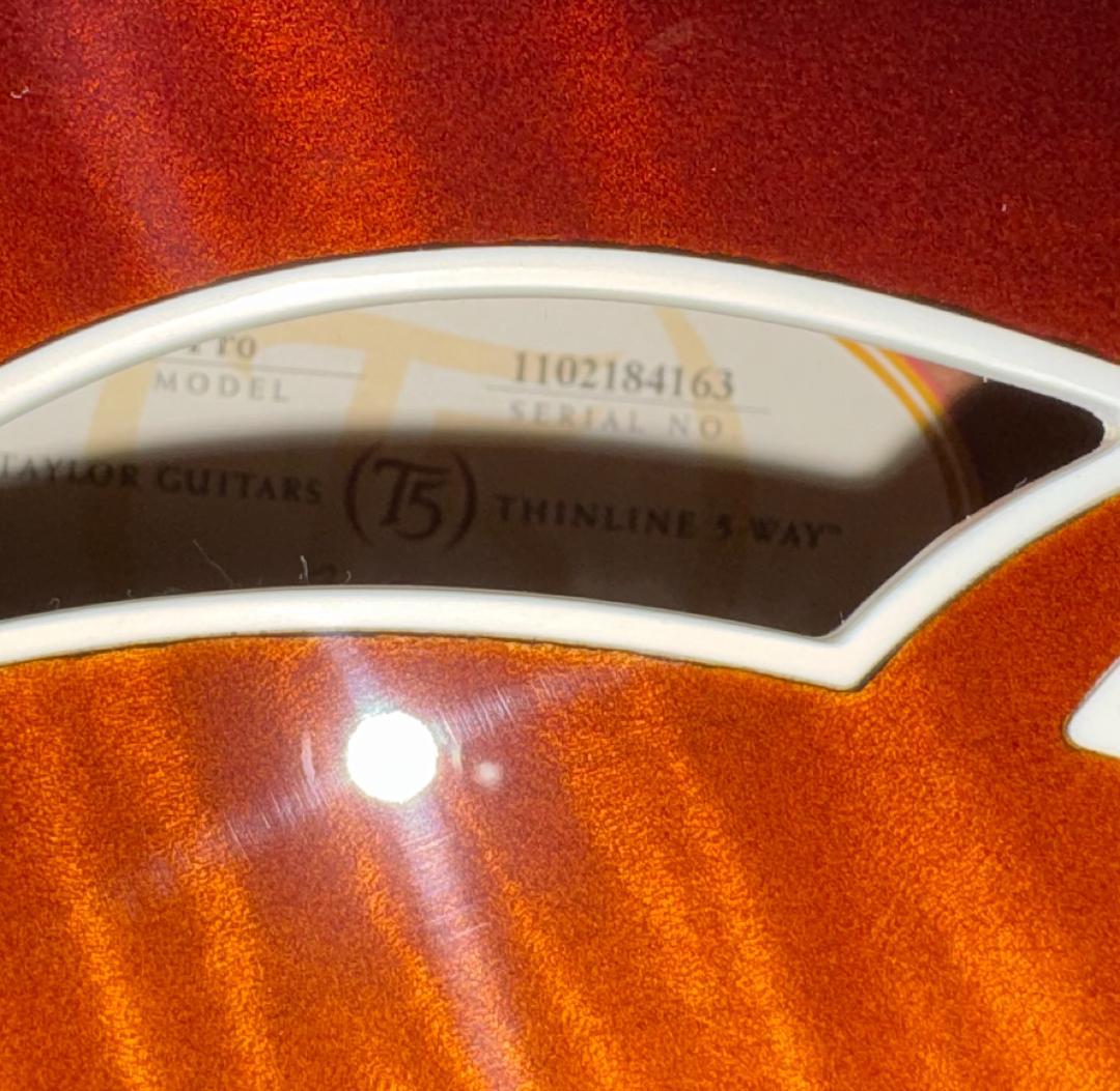 Taylor エレアコ T5 Pro TB