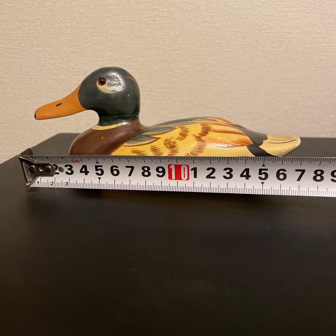 VAN JAC デコイ　SCENEプロモーション