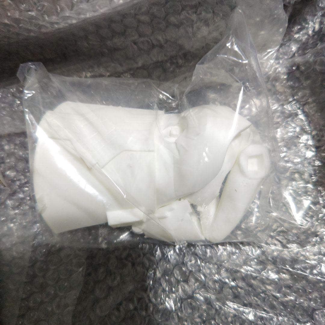 FATE　フランケンシュタイン　水着　ガレージキット　未組立