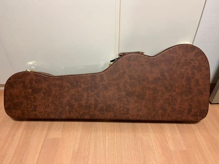 ギター Fender classic POODLE CASE