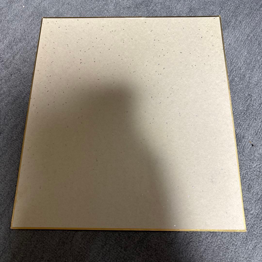 王貞治 800号・868号記念 直筆 サイン色紙 読売巨人軍 ジャイアンツ