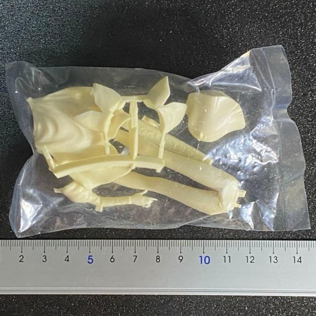 ハマーン・カーン レジン キャスト キット Zガンダム ガレージキット ゼータ