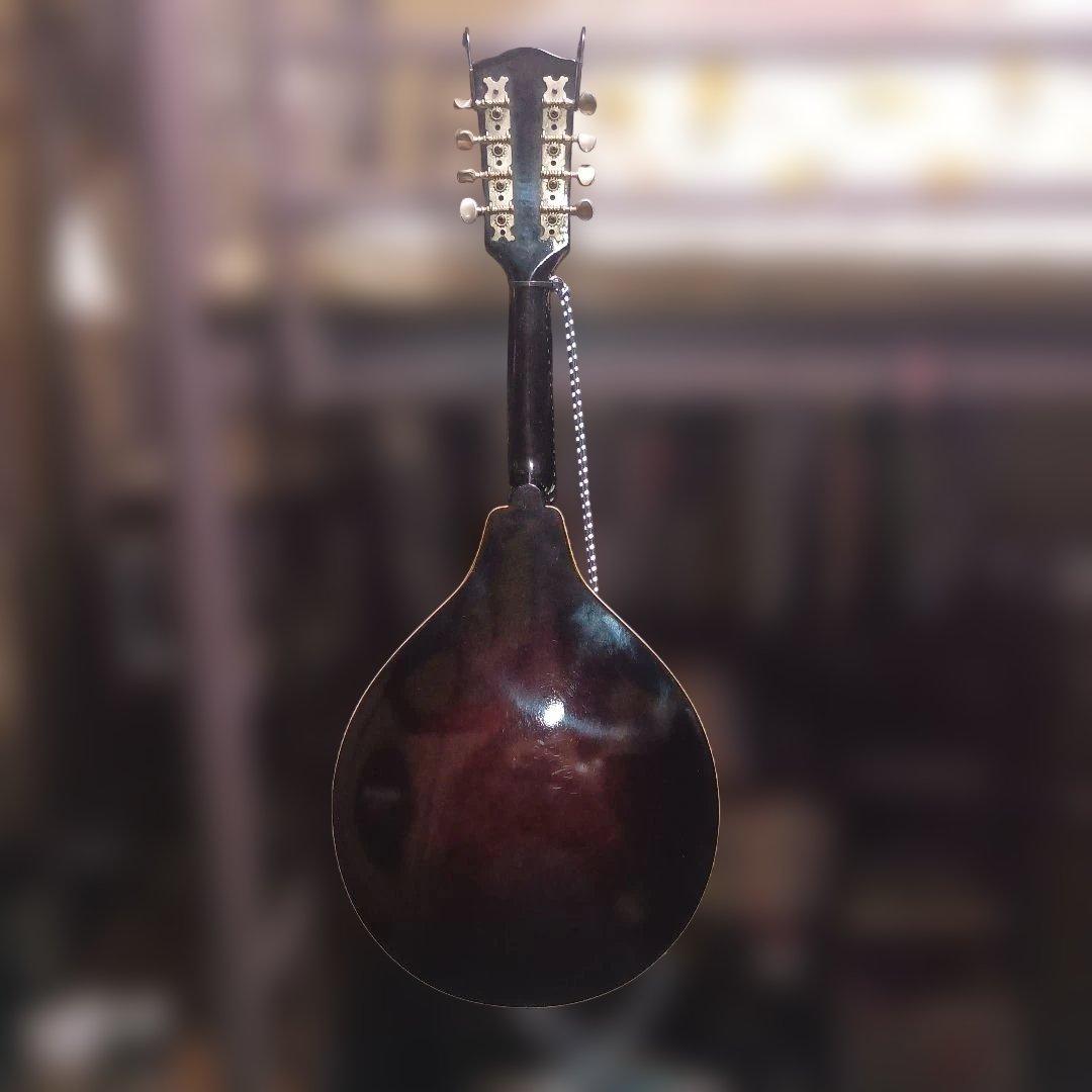 Jumbo マンドリン　JM-23　田原　70s　サンバースト　日本製