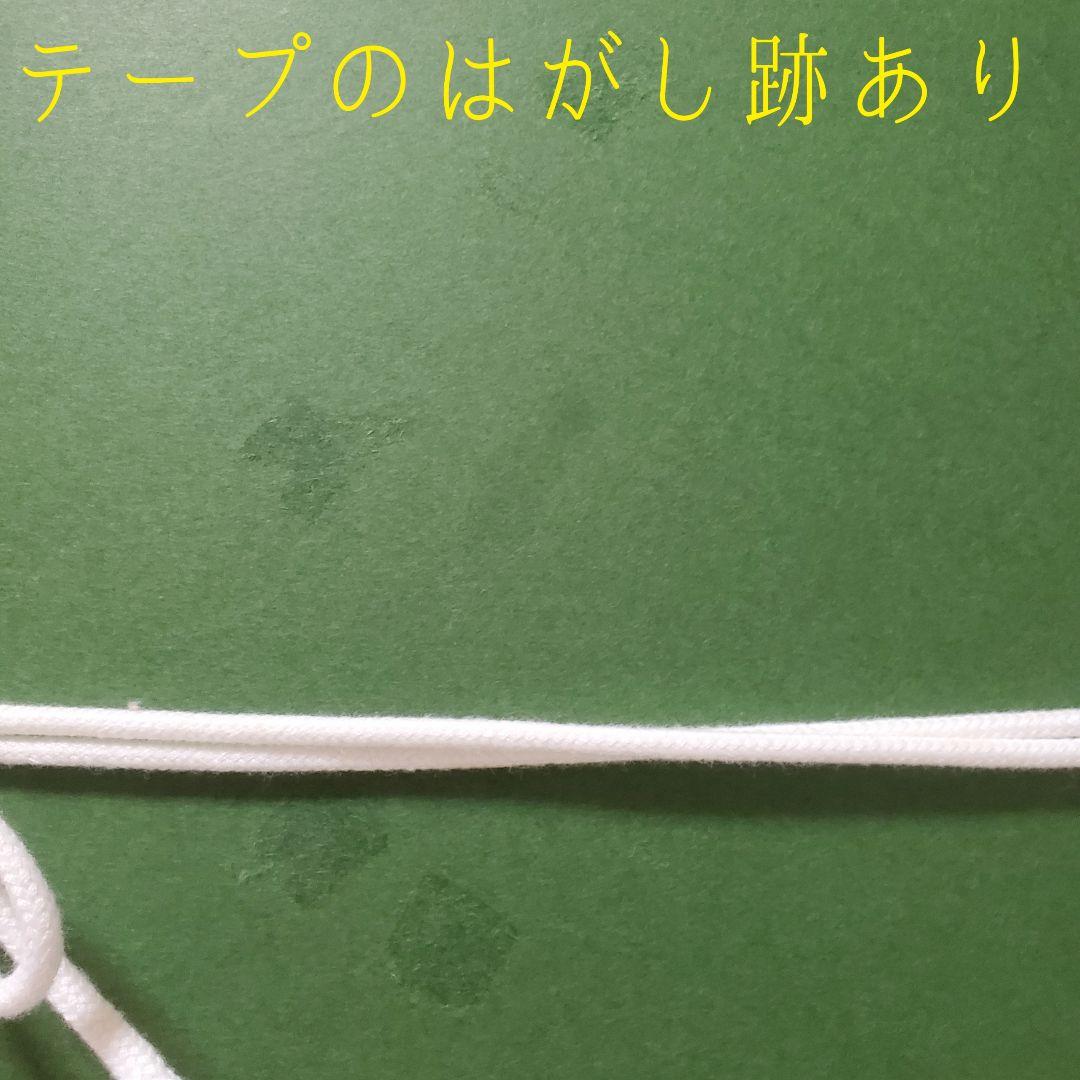 縁起物！額入り∞蛇のぬけがら　金運　幸運　シマヘビ　爬虫類