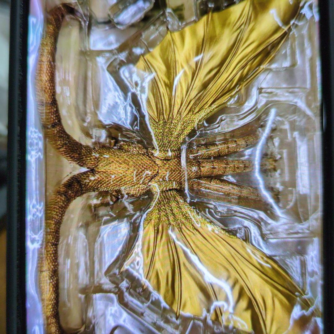 SHモンスターアーツ。キングギドラ.スペシャルバージョン。