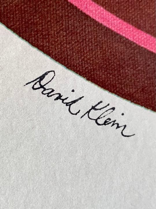 David  TWAハワイアン販ビンテージ オリジナルポスター