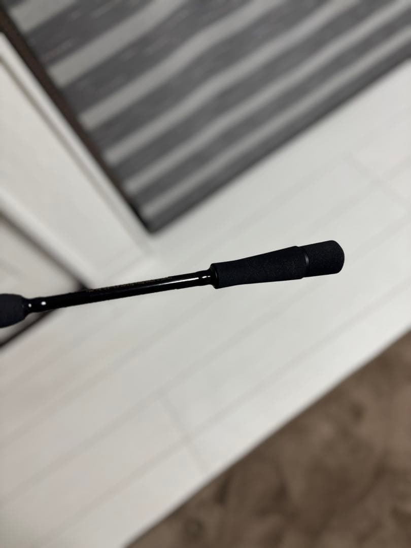 BLACK LION 75M ホワイトティップバージョン　ティップラン