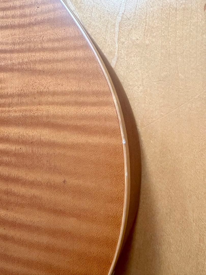 【希少】ESP Char 監修BambooInn-CE バンブーイン エレアコ