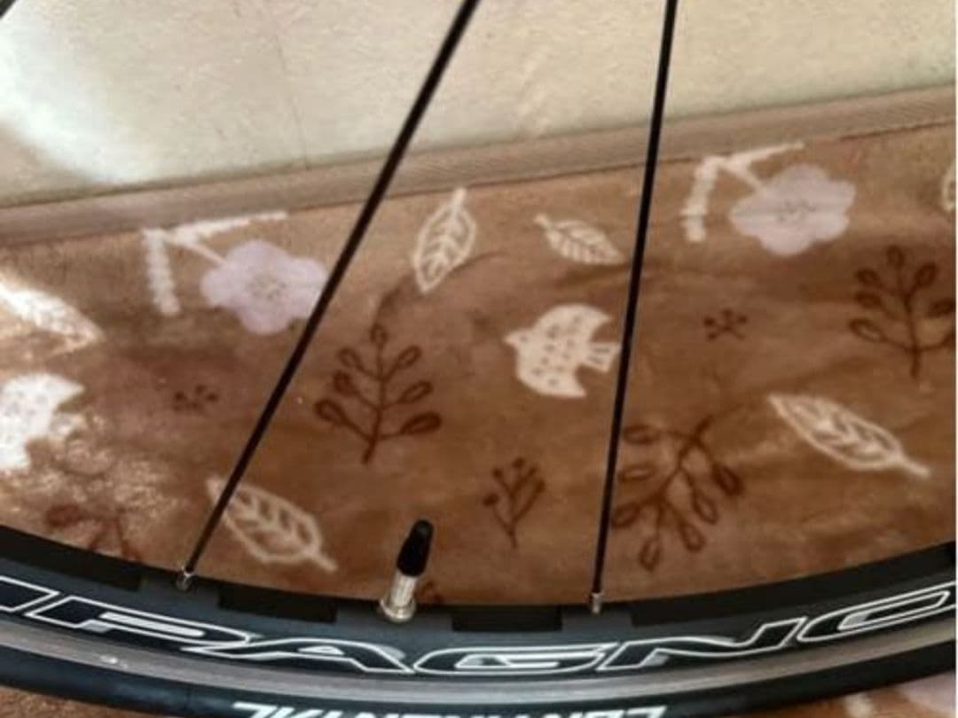 ミ*ト様 カンパニョーロ ゾンダ 17C ワイドリム クリンチャー