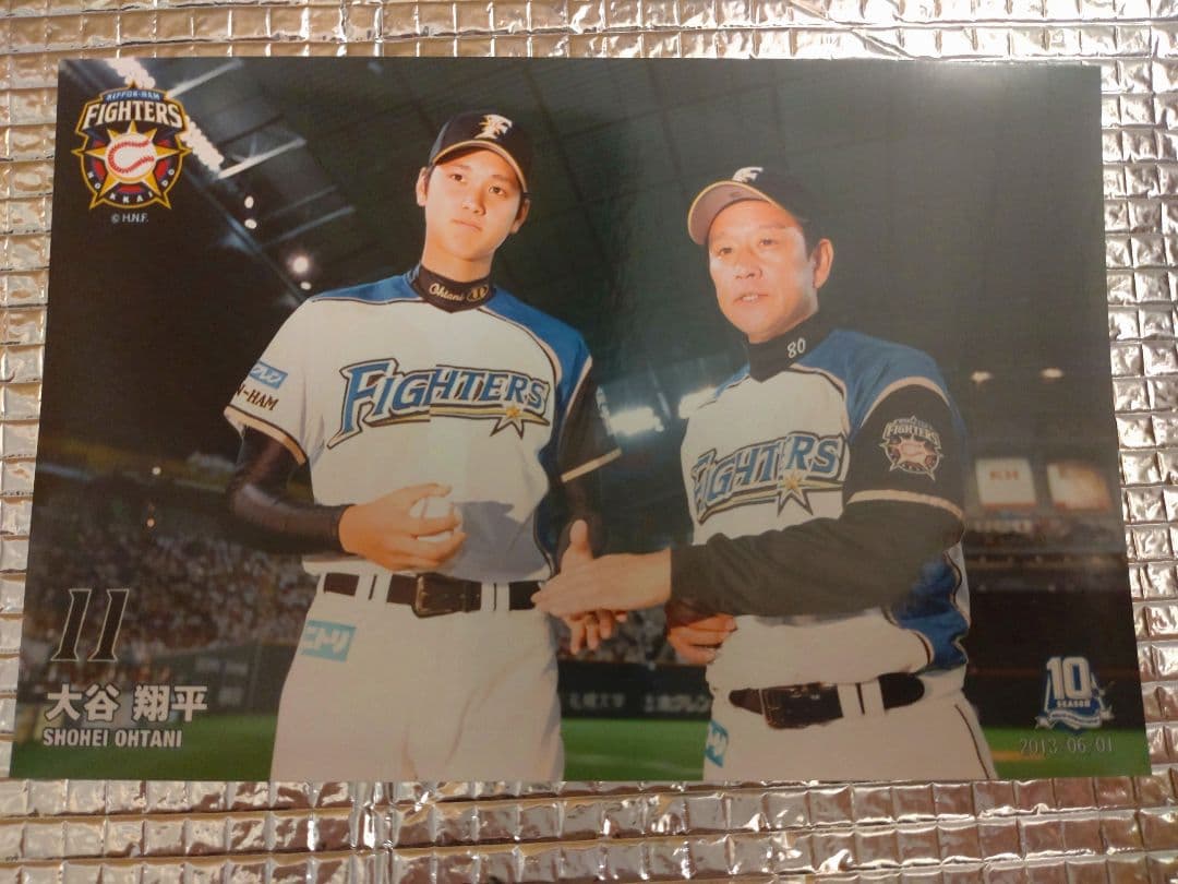 大谷翔平 2013 ハイライトフォト No.379 日本ハム 球団公式写真