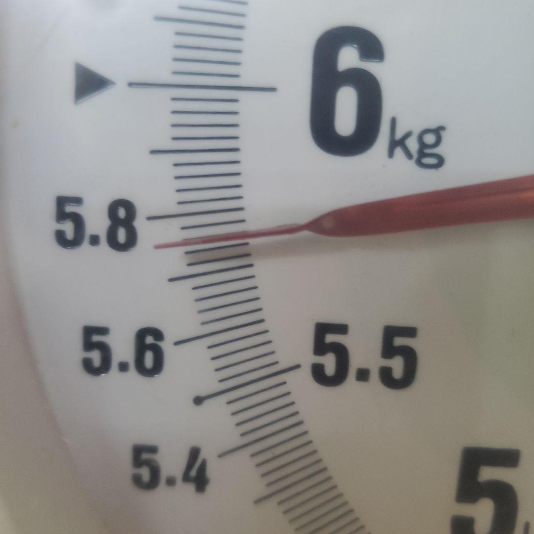 1⃣0️⃣ 山梨県産 サンシャインレッド １０房入り