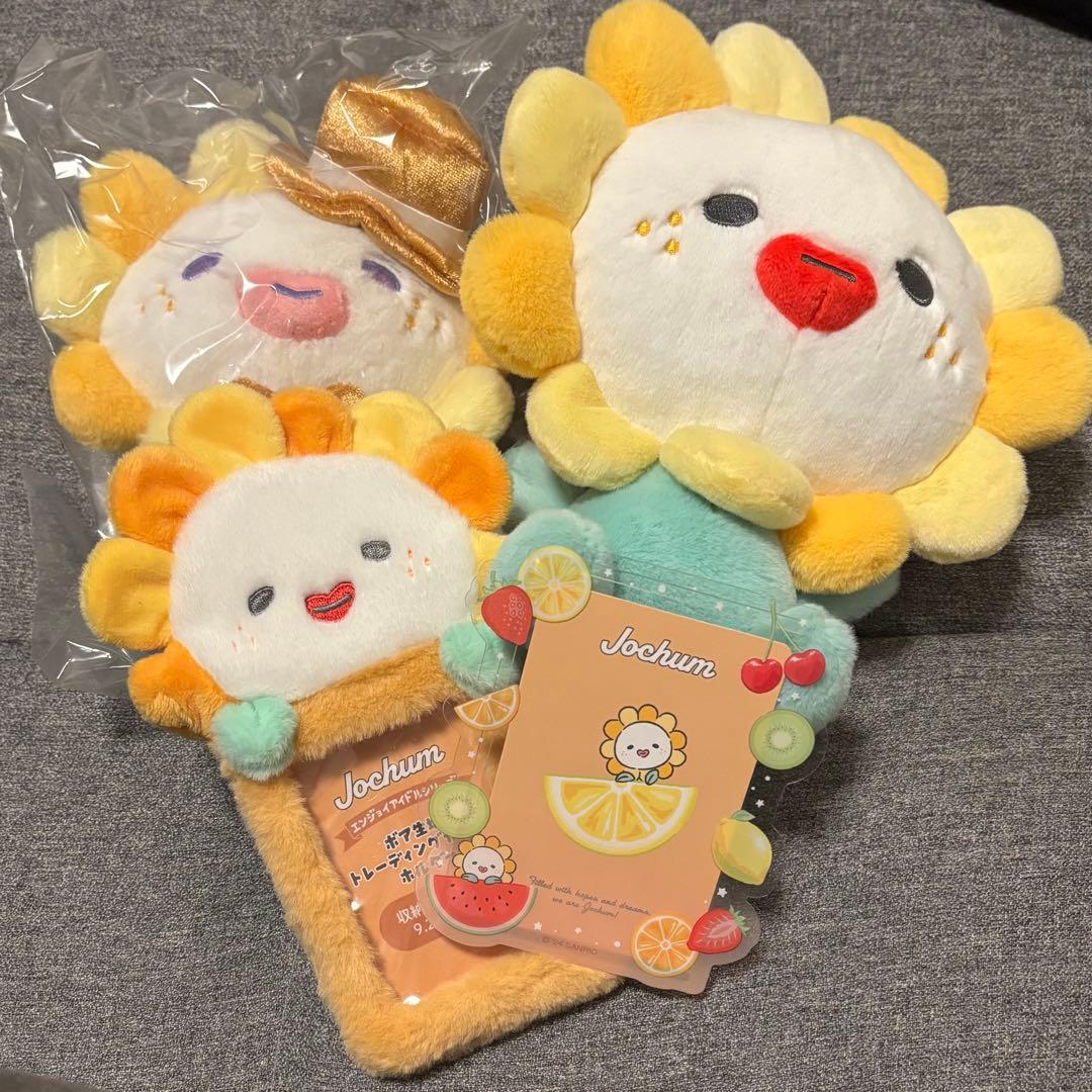 JOCHUM Bira まとめ売り