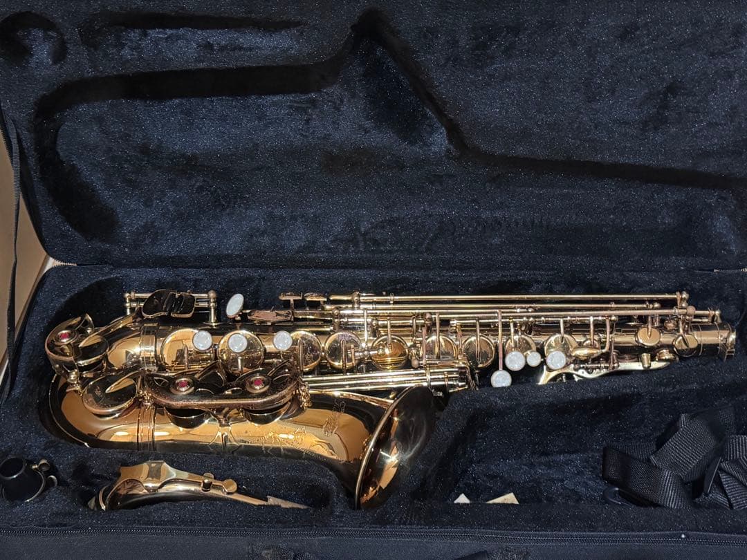 kaerntner ケルントナー　アルトサックス