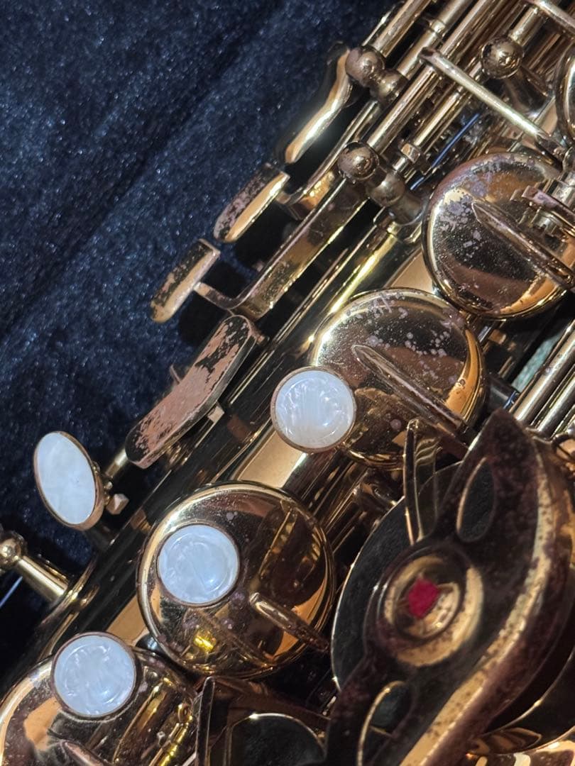 kaerntner ケルントナー　アルトサックス