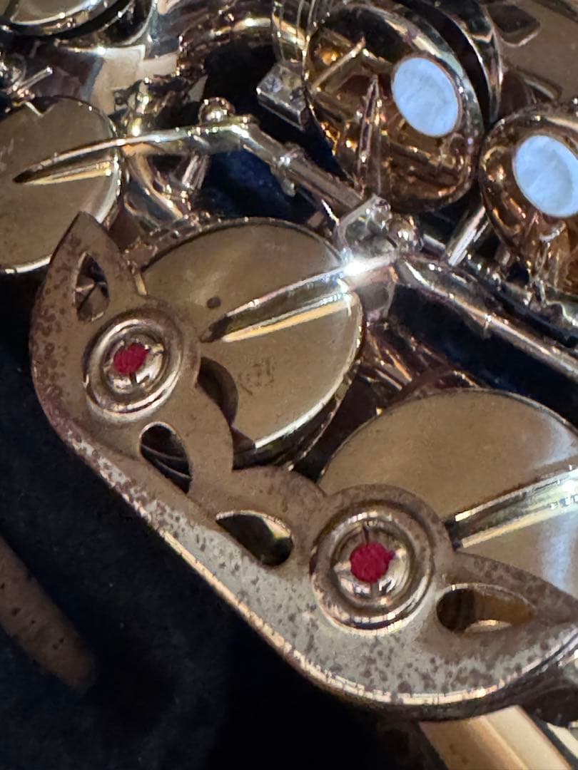 kaerntner ケルントナー　アルトサックス