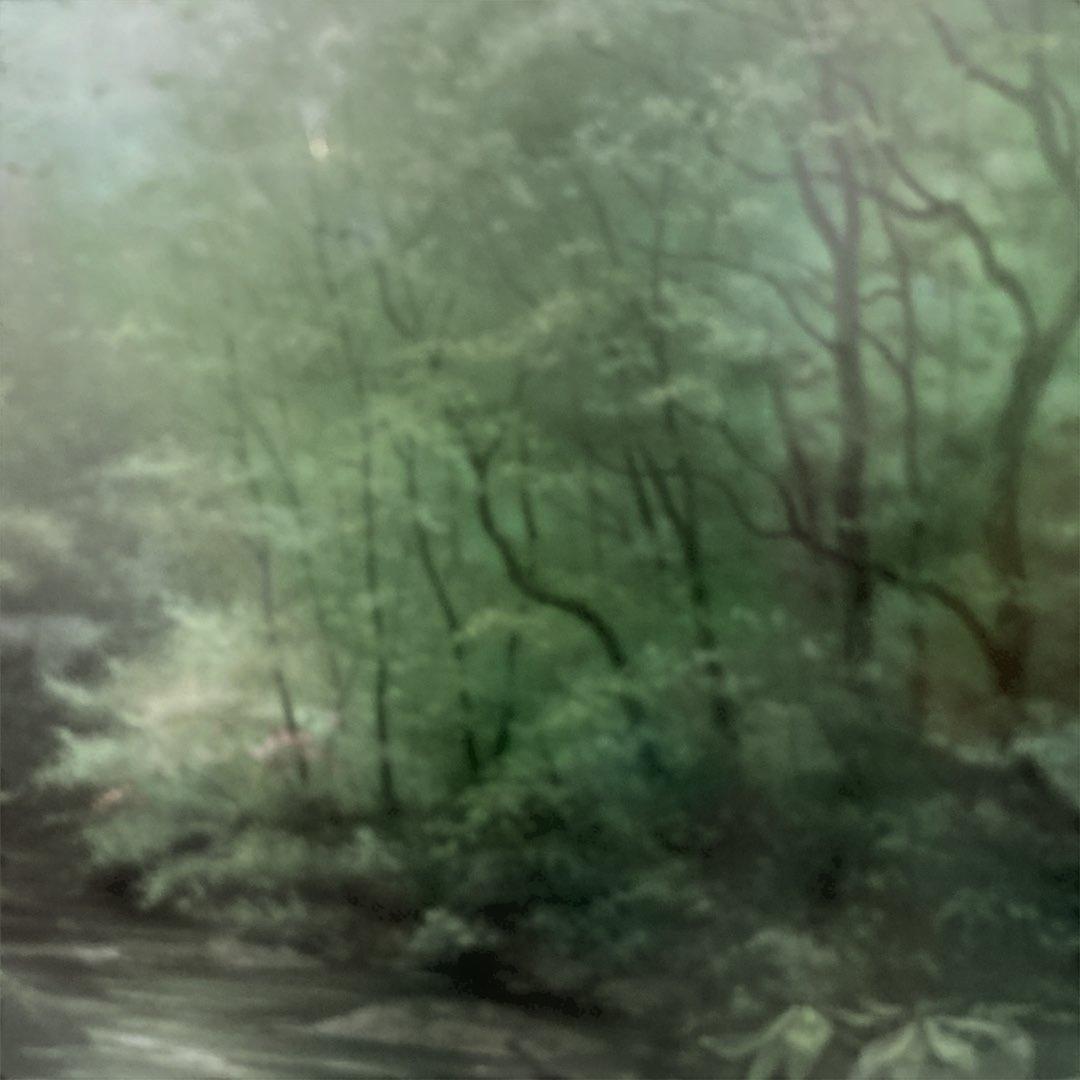 秀ちゃんさん専用　向山一石　（もいやまいつせき）　春光に憩う　「奥入瀬」　F6