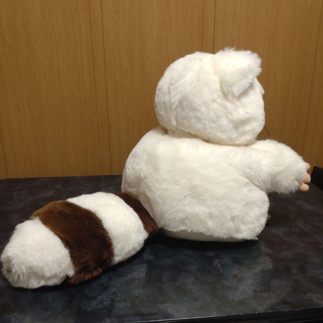 Sun Rise レッサーパンダ