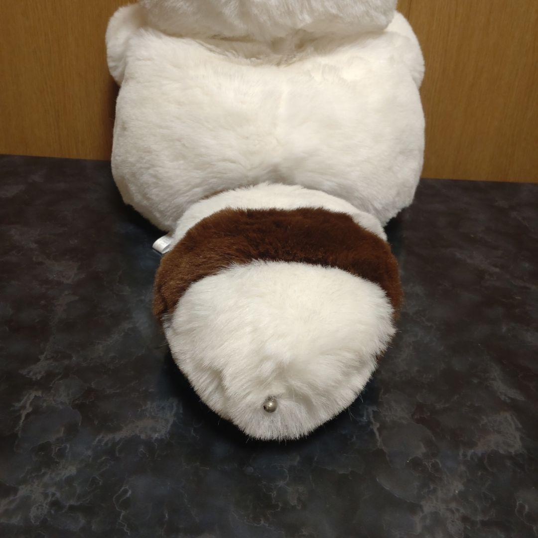 Sun Rise レッサーパンダ