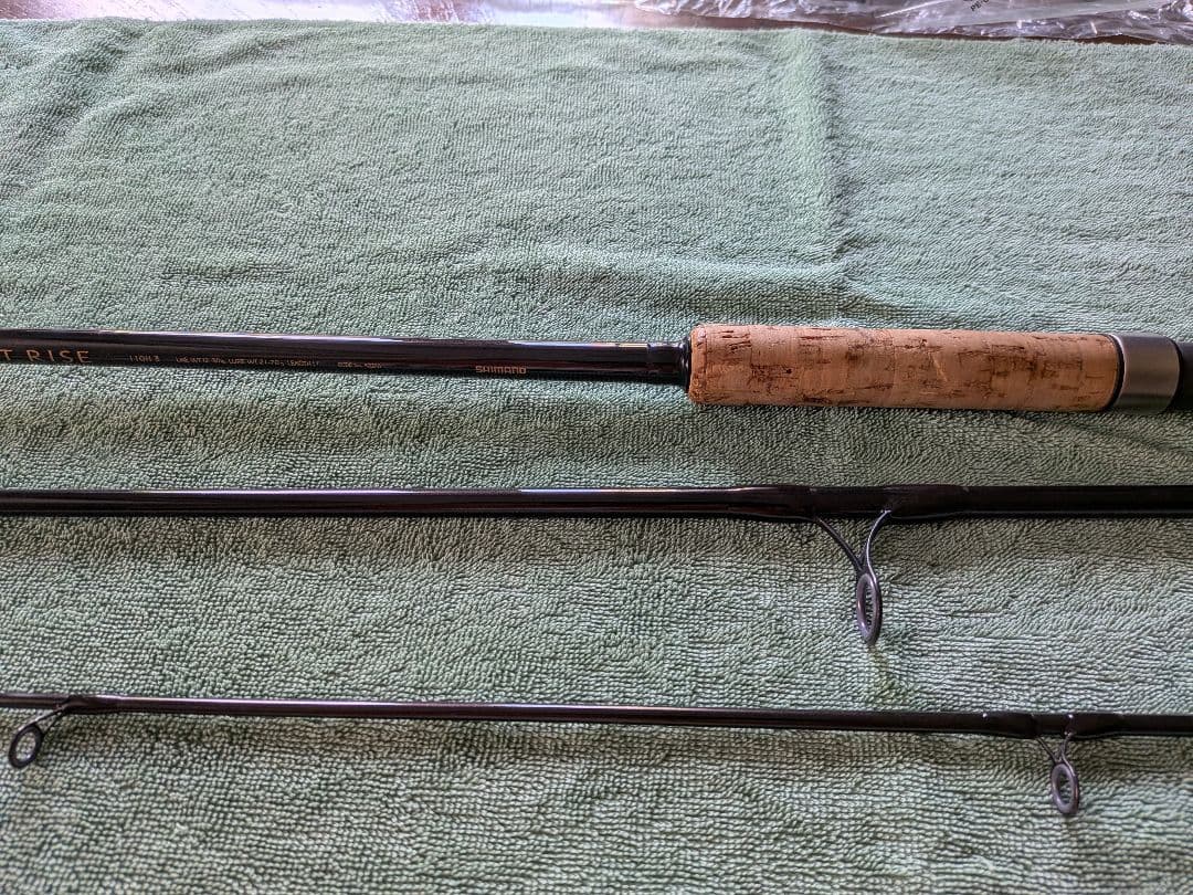 SHIMANO シマノ トラウトライズ 110H② アキアジ　鮭 シーバス